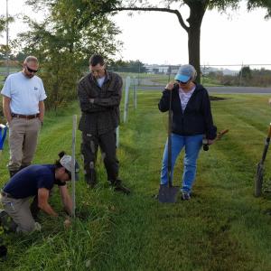 CNH Industrial employees planting trees