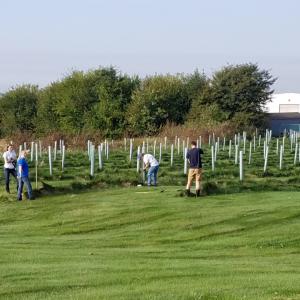 CNH Industrial employees planting trees