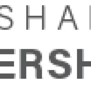 shared value leadership summit logo