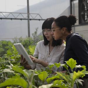 two people looking at a tablet in a greenhouse