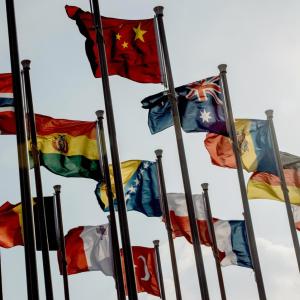 United nations flags