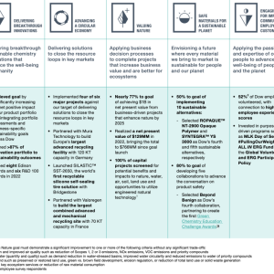 Table showing 2025 Sustainability Goals and 2022 Actions and Progress