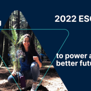 Nielsen's 2022 ESG report cover