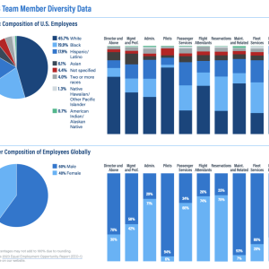 2023 Team Member Diversity Data infographics 