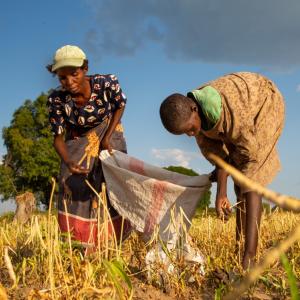 In Zambia, we developed climate-smart agriculture.