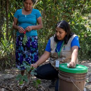 In Guatemala, we collected rainwater with a novel invention.