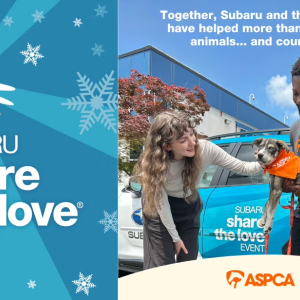 Someone pets a dog while another holds it, with text "Together, Subaru and the ASPCA have helped more than 142,000 animals... and counting!"