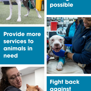 Collage of pets and ASPCA associates