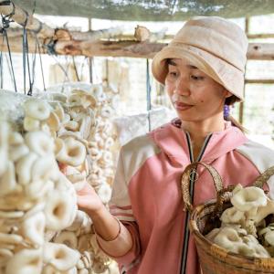 VSLA member Nối showing her mushroom business 