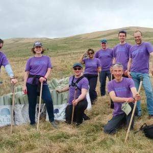 Edinburgh employees volunteer with the Borders Forest Trust. 