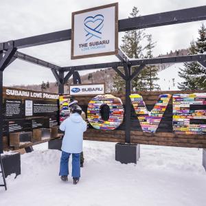 design spelling "LOVE"