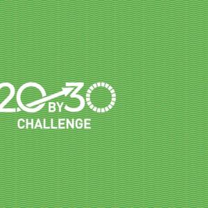 20by30 challenge over a green background.