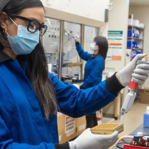 Workers in a biomedical lab