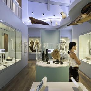 Bowdoin College - Gibbons Center for Arctic Studies