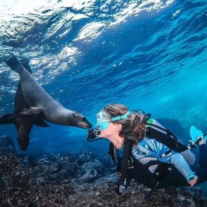 underwater shot of Gádor in scuba gear, nose to nose with a seal