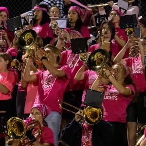 Team Band in the stands