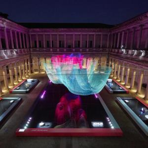 design week at night