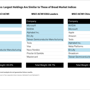 ESG Benchmarks: Largest Holdings are Similar to Those of Broad Market Indices