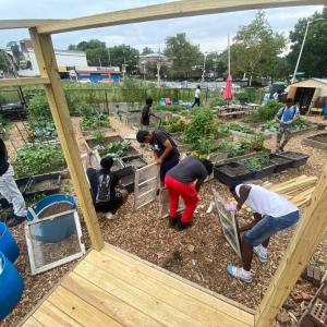 People working in a garden