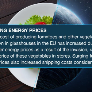 RISING ENERGY PRICES  The cost of producing tomatoes and other vegetables grown in glasshouses in the EU has increased due to higher energy prices as a result of the invasion, raising the price of these vegetables in stores. Surging fuel and oil prices also increased shipping costs considerably.