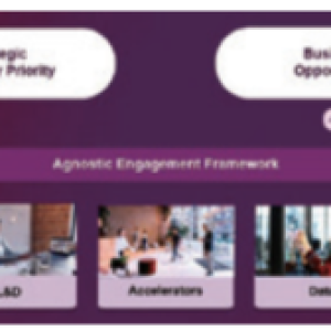 Info graphic "Engagement Framework" with five categories