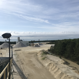 Dividing Creek Plant