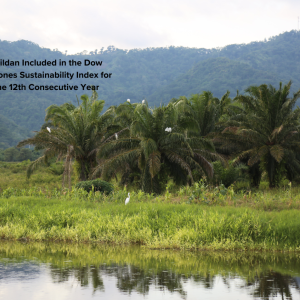 Landscape photo featuring Gildan's Biotop, with text overlayed