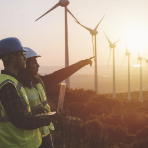 Two team members in a field with windmills at sunset.