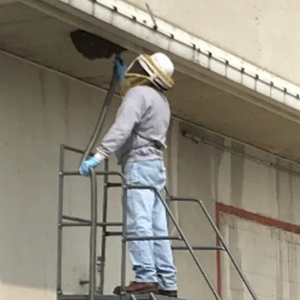 person on scaffolding examining a beehive