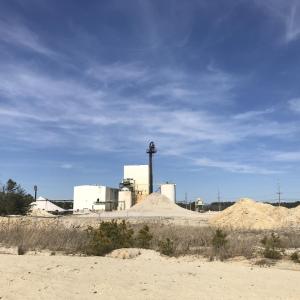 Dividing Creek Plant