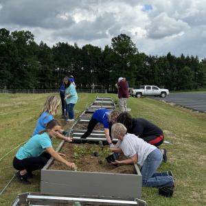 A team of people helping to build raised beds in a field for planting fruit and veg