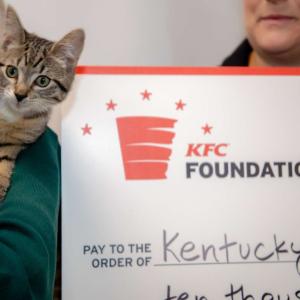 A cat being held by someone, next to an oversized check