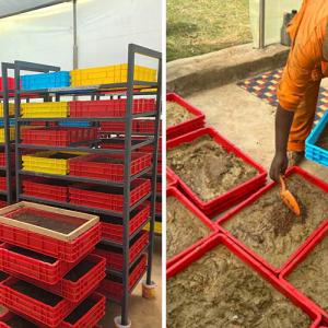 Two separate photo's of Black Solider Fly bins