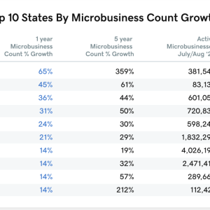 Top 10 States by Microbusiness Count Growth