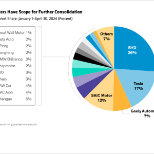 Display 3 - China's EV Makers Have Scope for Further Consolidation