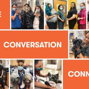 Collage of employees reads: "Culture, Conversation, Connectivity"
