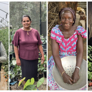 Collage of four people in agricultural settings.