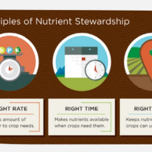 4R Principles of Nutrient Stewardship info graphic