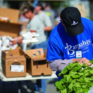 Person putting lettuce into a bag