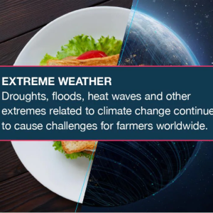 EXTREME WEATHER  Droughts, floods, heat waves and other extremes related to climate change continue to cause challenges for farmers worldwide. 