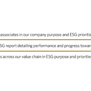Governance & Transparency infographic