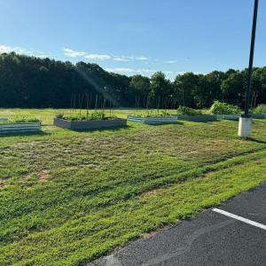 Hand made raised beds for planting fruit and veg