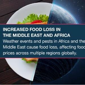 INCREASED FOOD LOSS IN THE MIDDLE EAST AND AFRICA Weather events and pests in Africa and the Middle East cause food loss, affecting food prices across multiple regions globally..