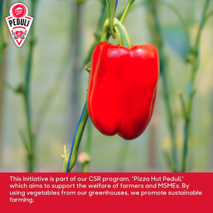 A pepper hanging on a stem