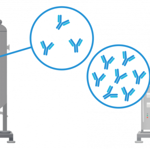 Bioreactors illustrated during High-titer processes