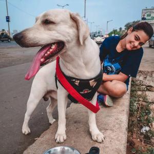 Vishakha Fulsunge sitting next to her yellow lab, Shadow
