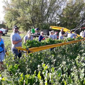  CNH Industrial employees supported the Hunger Task Force Farm