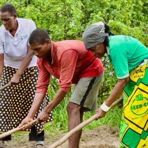 Clare (right), 72, a farmer in Zambia planting drought-resistant crops in an effort to fight climate change