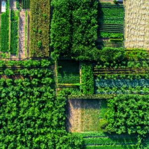 Regenerative Ag image