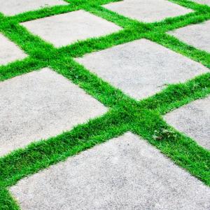 Grass and paving stones